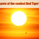 the coolest Red Tiger’s slots